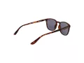Superdry Sonnenbrille SDS Summer 102