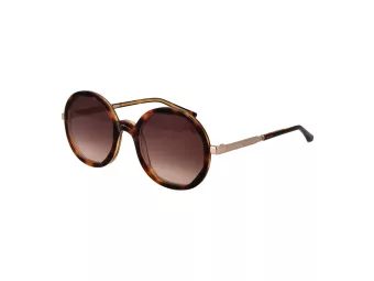 Sandro Sonnenbrille SD 6042 170