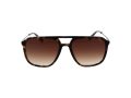 Fila Sonnenbrille SFI 215 722Y