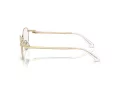 Swarovski Brillen SK 1002 4004