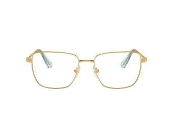 Swarovski Brillen SK 1003 4021