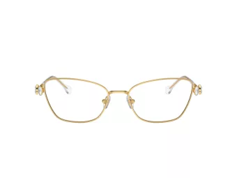 Swarovski Brillen SK 1006 4013