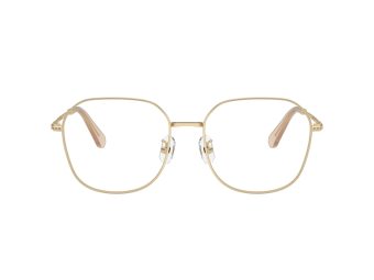 Swarovski Brillen SK 1009D 4013