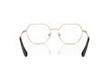 Swarovski Brillen SK 1011 4013