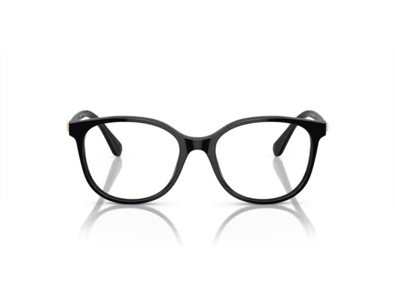 Swarovski Brillen SK 2002 1001