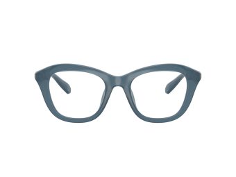 Swarovski Brillen SK 2042U 1035