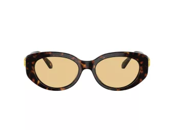 Swarovski Sonnenbrille SK 6002 1002/8