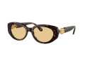 Swarovski Sonnenbrille SK 6002 1002/8