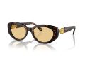 Swarovski Sonnenbrille SK 6002 1002/8