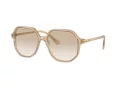 Swarovski Sonnenbrille SK 6003 103411