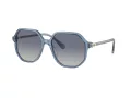 Swarovski Sonnenbrille SK 6003 10354L