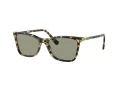 Swarovski Sonnenbrille SK 6004 1009/2
