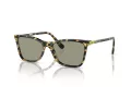 Swarovski Sonnenbrille SK 6004 1009/2