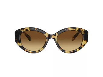 Swarovski Sonnenbrille SK 6005 100913