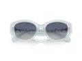 Swarovski Sonnenbrille SK 6005 10244L
