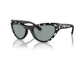 Swarovski Sonnenbrille SK 6007 1020/1