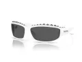 Swarovski Sonnenbrille SK 6009 102987