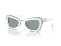 Swarovski Sonnenbrille SK 6012 1012/1