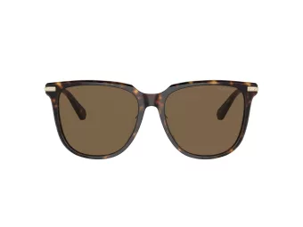 Swarovski Sonnenbrille SK 6015D 100273