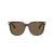 Swarovski Sonnenbrille SK 6015D 100273