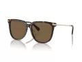 Swarovski Sonnenbrille SK 6015D 100273
