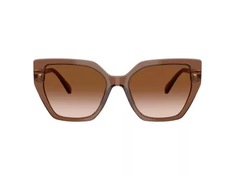 Swarovski Sonnenbrille SK 6016 106713