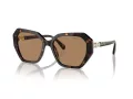 Swarovski Sonnenbrille SK 6017 1002M4
