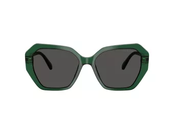 Swarovski Sonnenbrille SK 6017 104587