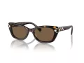 Swarovski Sonnenbrille SK 6019 100273