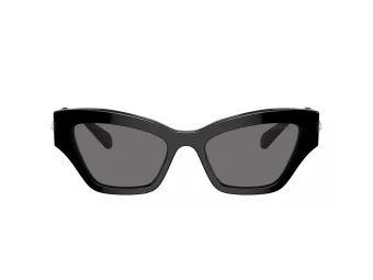 Swarovski Sonnenbrille SK 6021 100181