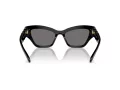 Swarovski Sonnenbrille SK 6021 100181