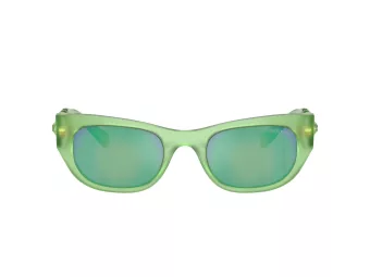 Swarovski Sonnenbrille SK 6022 105131