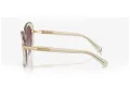Swarovski Sonnenbrille SK 6026 30038H