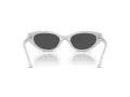 Swarovski Sonnenbrille SK 6030 106087