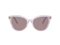 Swarovski Sonnenbrille SK 6031 1079LA