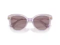 Swarovski Sonnenbrille SK 6031 1079LA
