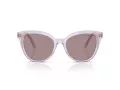 Swarovski Sonnenbrille SK 6031 1079LA