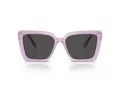 Swarovski Sonnenbrille SK 6032 107587