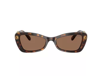 Swarovski Sonnenbrille SK 6033 100273