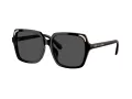 Swarovski Sonnenbrille SK 6034D 100187