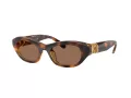 Swarovski Sonnenbrille SK 6036U 100273