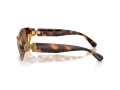 Swarovski Sonnenbrille SK 6036U 100273