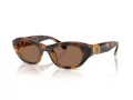 Swarovski Sonnenbrille SK 6036U 100273