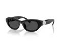 Swarovski Sonnenbrille SK 6036U 103887