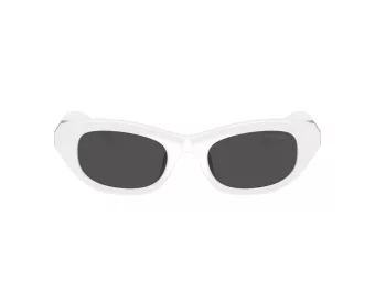 Swarovski Sonnenbrille SK 6036U 105087