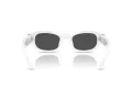 Swarovski Sonnenbrille SK 6036U 105087