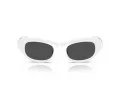 Swarovski Sonnenbrille SK 6036U 105087