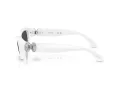 Swarovski Sonnenbrille SK 6036U 105087