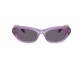 Swarovski Sonnenbrille SK 6036U 10751A