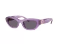 Swarovski Sonnenbrille SK 6036U 10751A